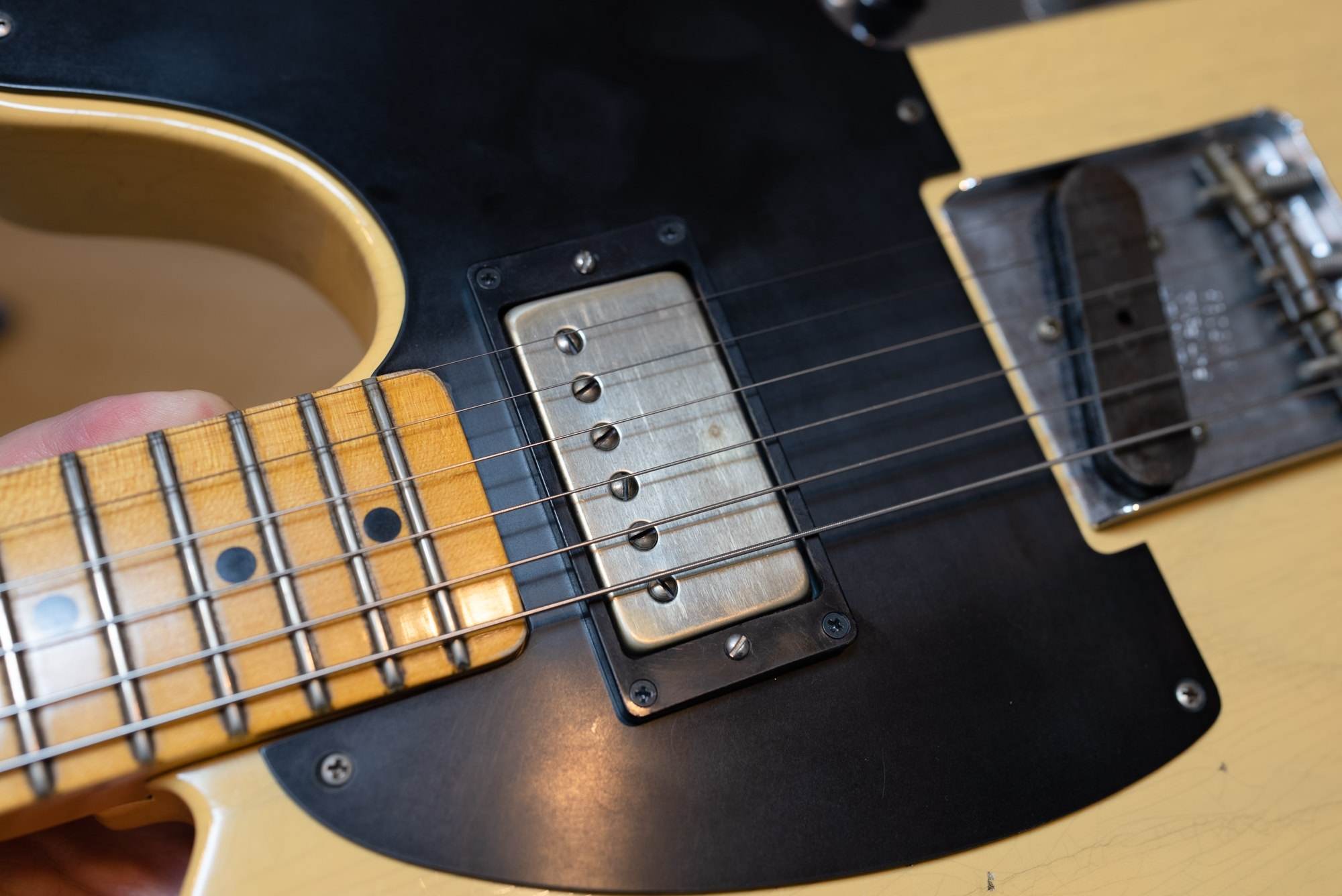 角度を変えて撮影。いい感じ。